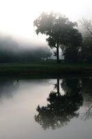 Golfer's Mist 